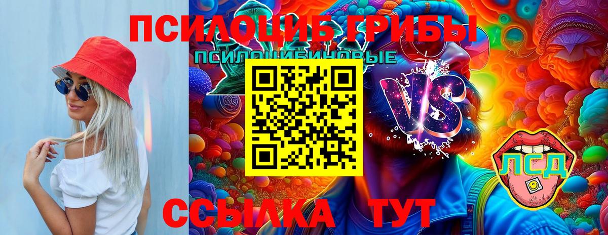 Псилоцибиновые грибы Cubensis  Вход с VPN  даркнет сайт  Нижневартовск 